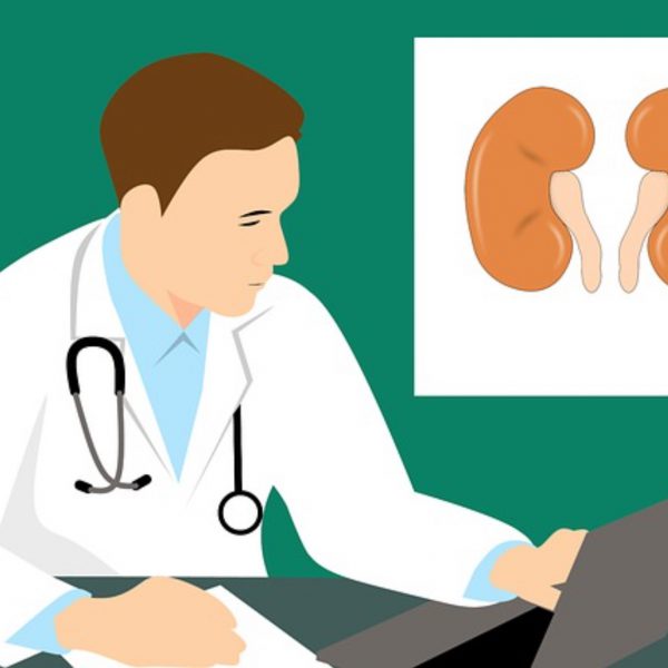 Enfermedad Renal Crónica